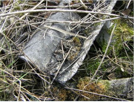 An asbestos sheet lies unbroken on the ground